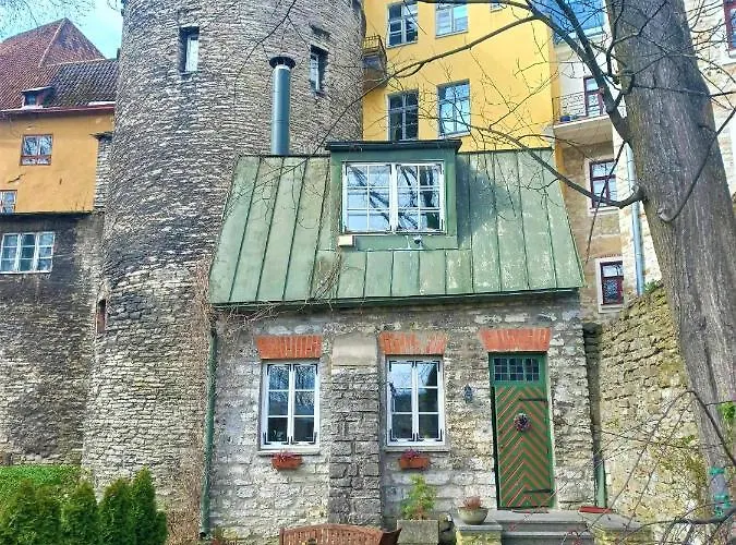 Cozy Old Town Historic House